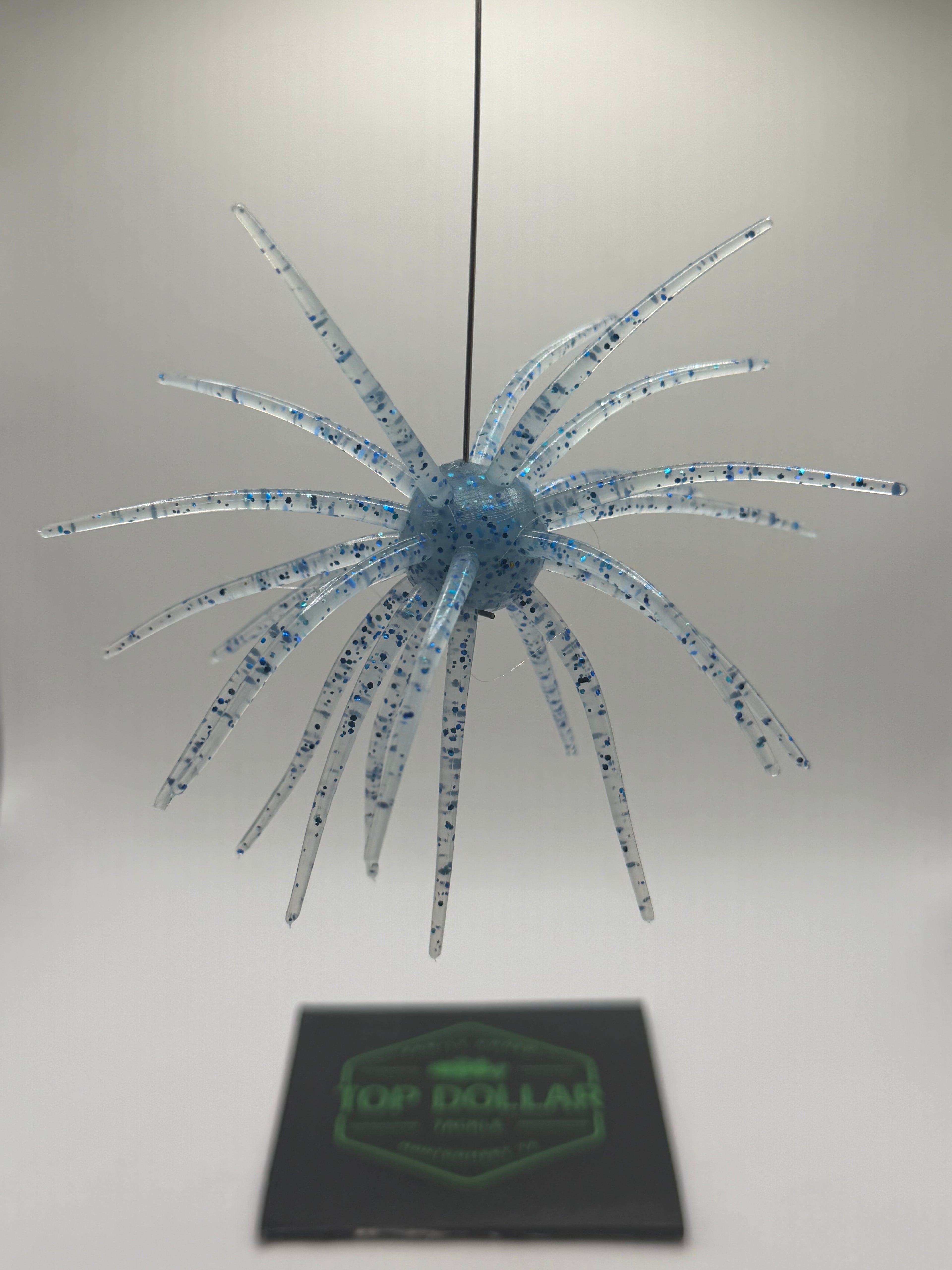 19MM Spine Urchin Frostbite