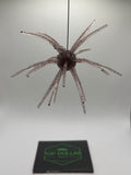 19MM Spine Urchin Phantom Shad