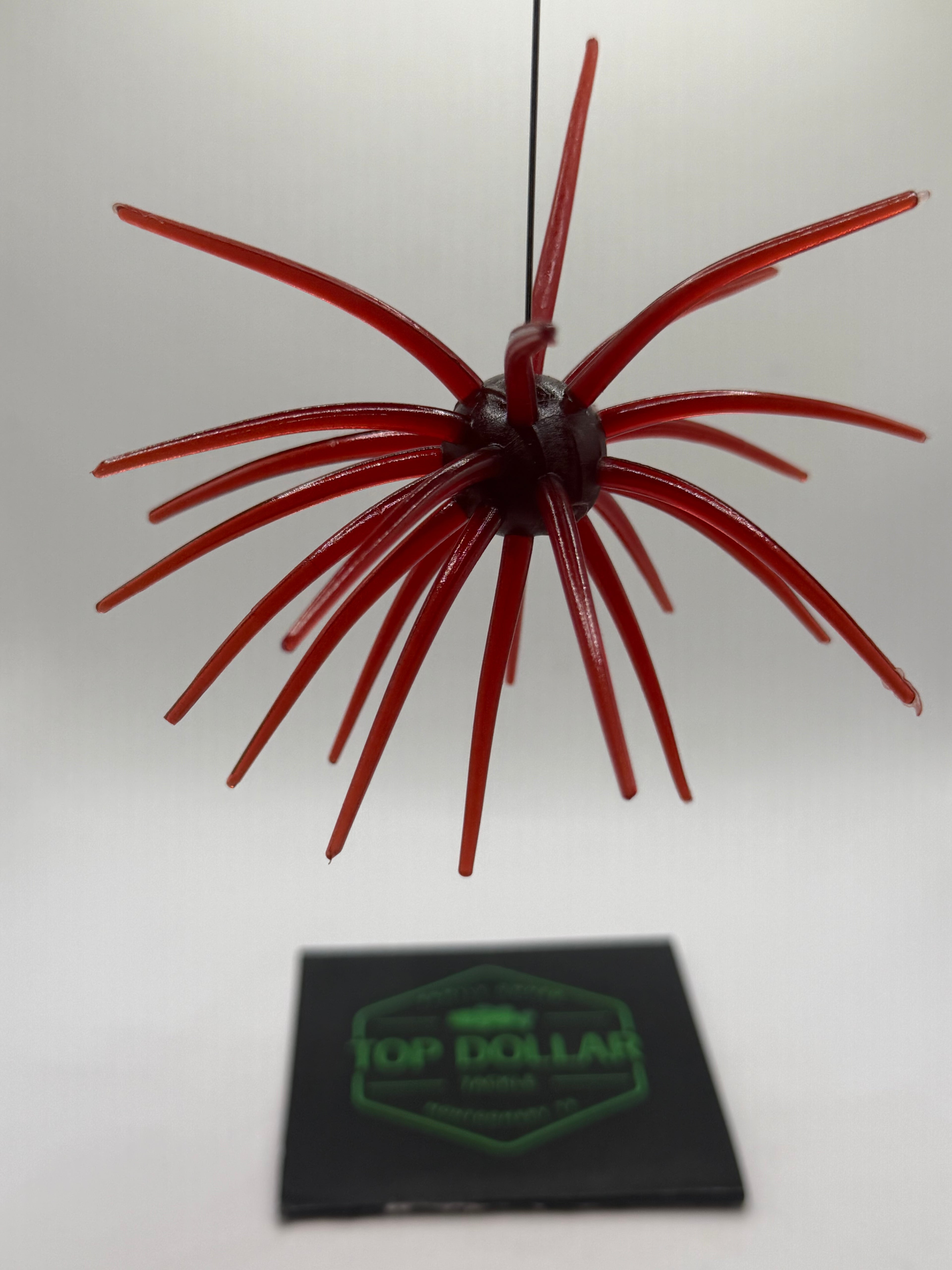19MM Spine Urchin Scuppernong