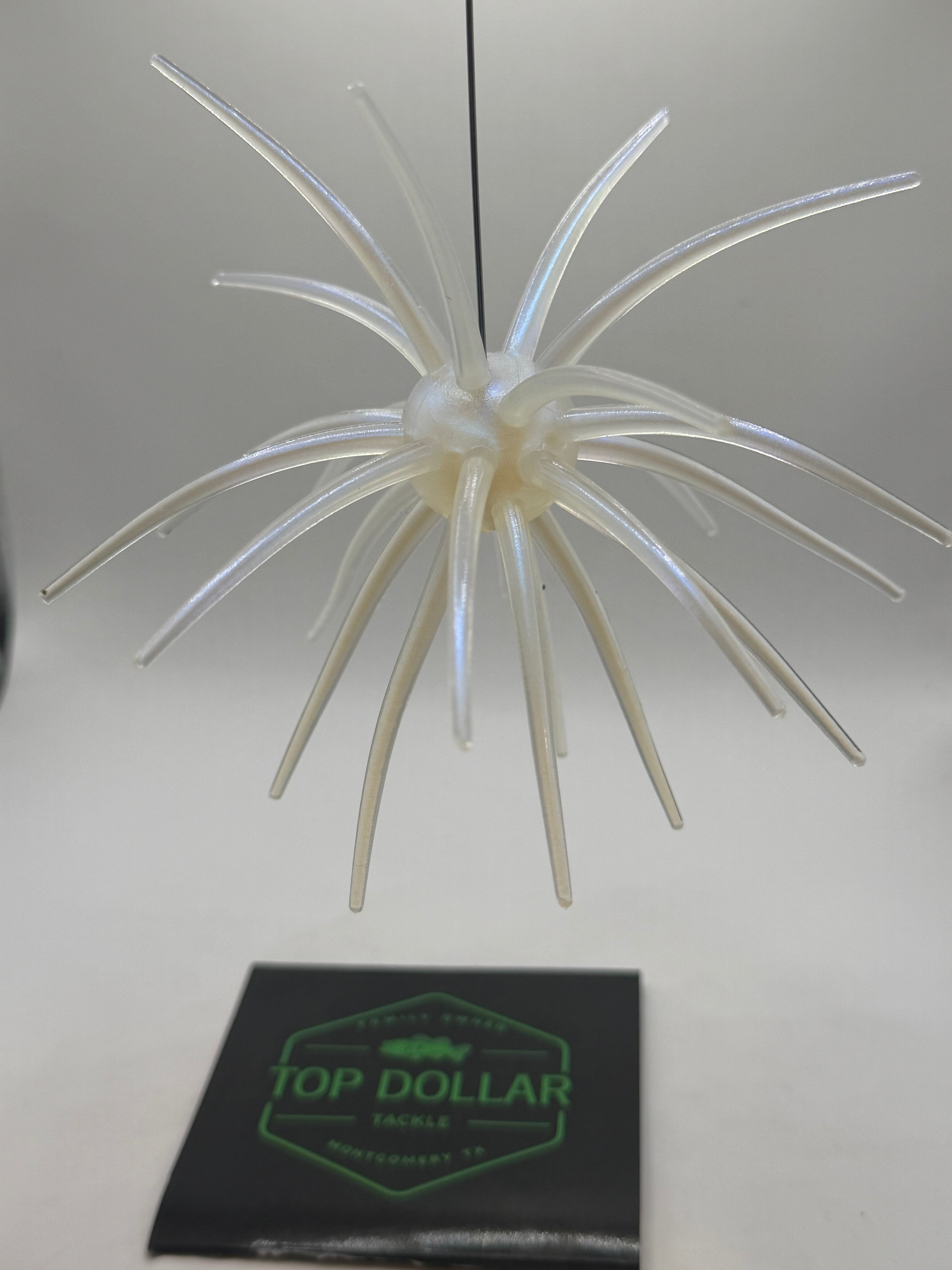 25MM Spine Urchin Bass Candy