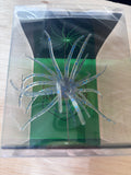 19mm Spine Urchin Frostbite Shad