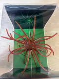 19mm Spine Urchin Rust Craw