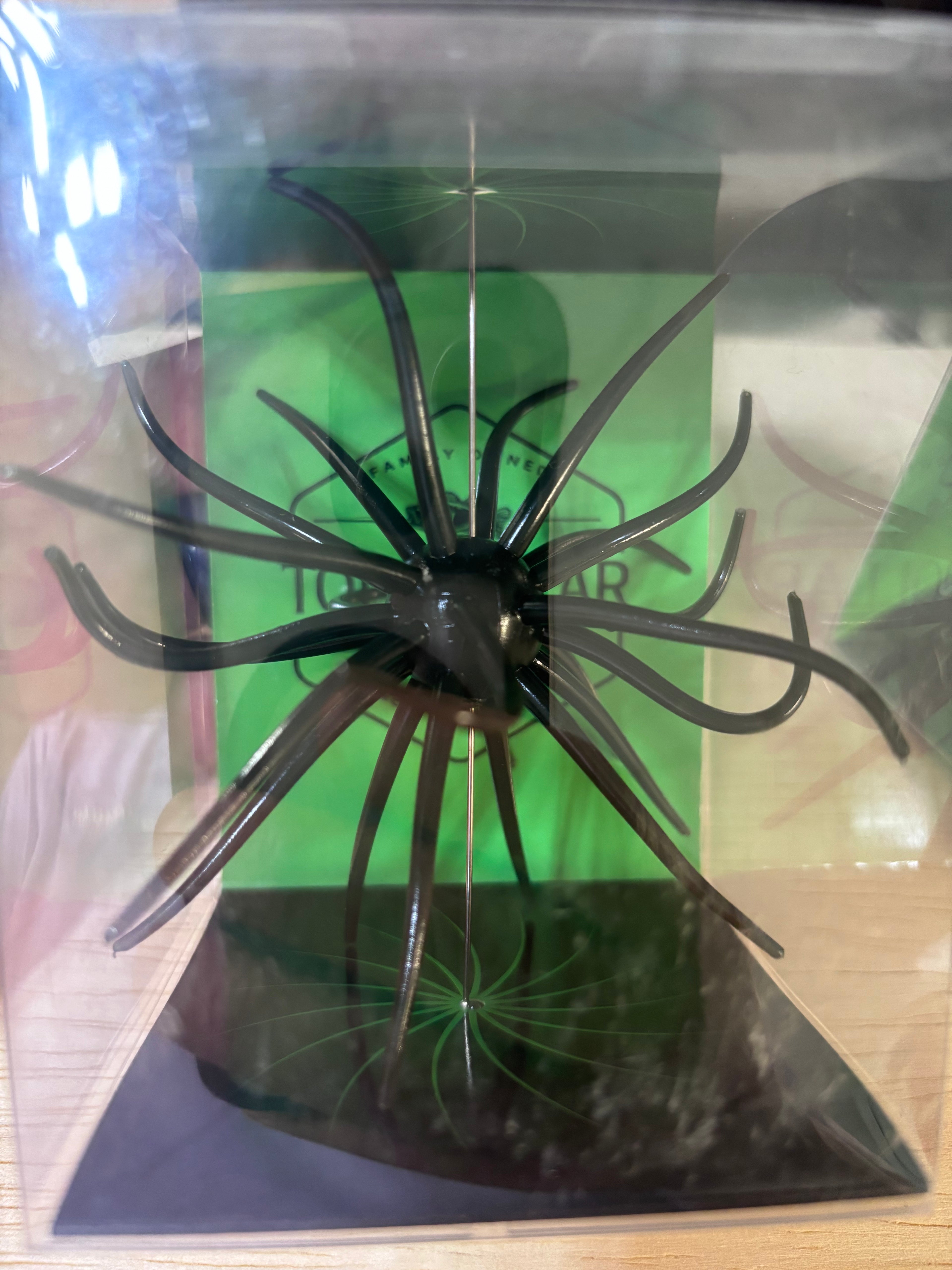19mm Spine Urchin Black Widow