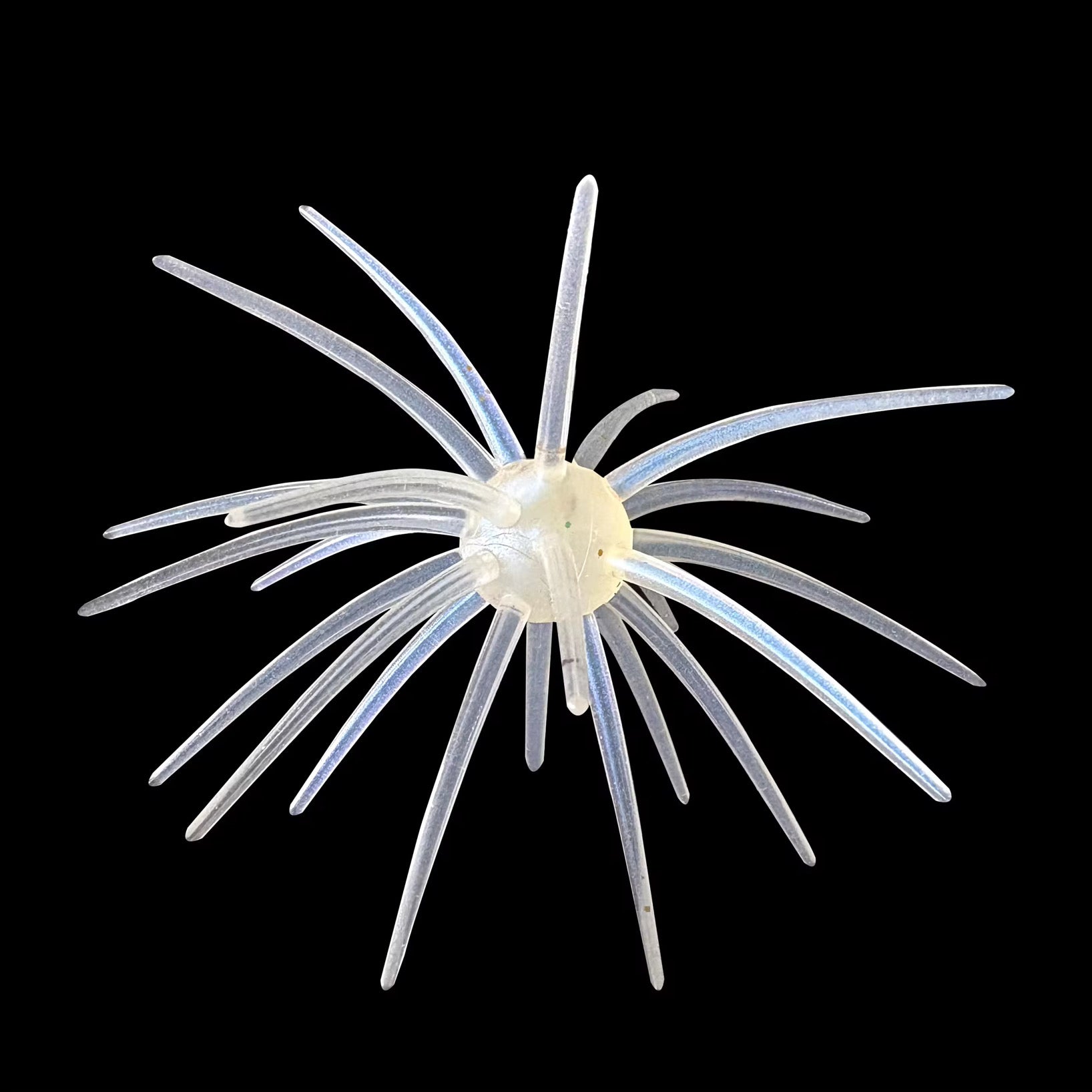 25MM Spine Urchin Bass Candy (PRE ORDER)