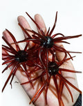 25MM Spine Urchin Scuppernong (PRE SALE)